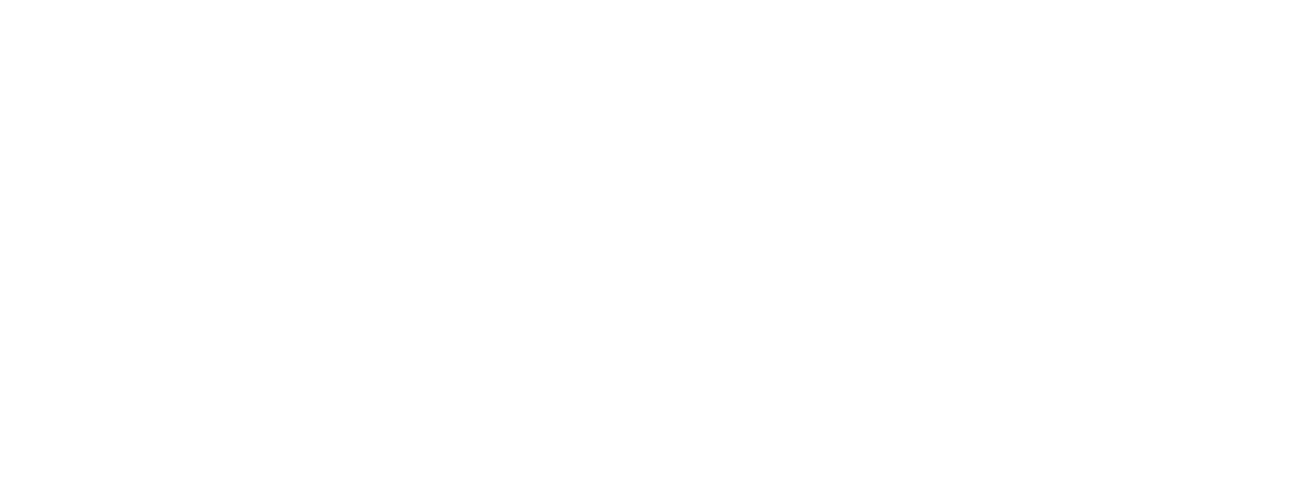 Insurance Financial Service